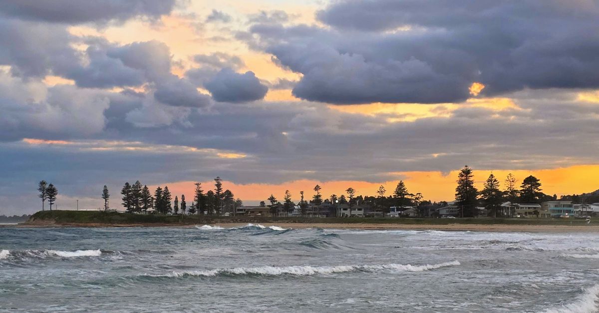 Understanding How GPs Recommend Therapists in the Central Coast